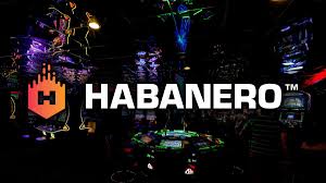Jaminan Permainan dan Keamanan di Game Slot Habanero
